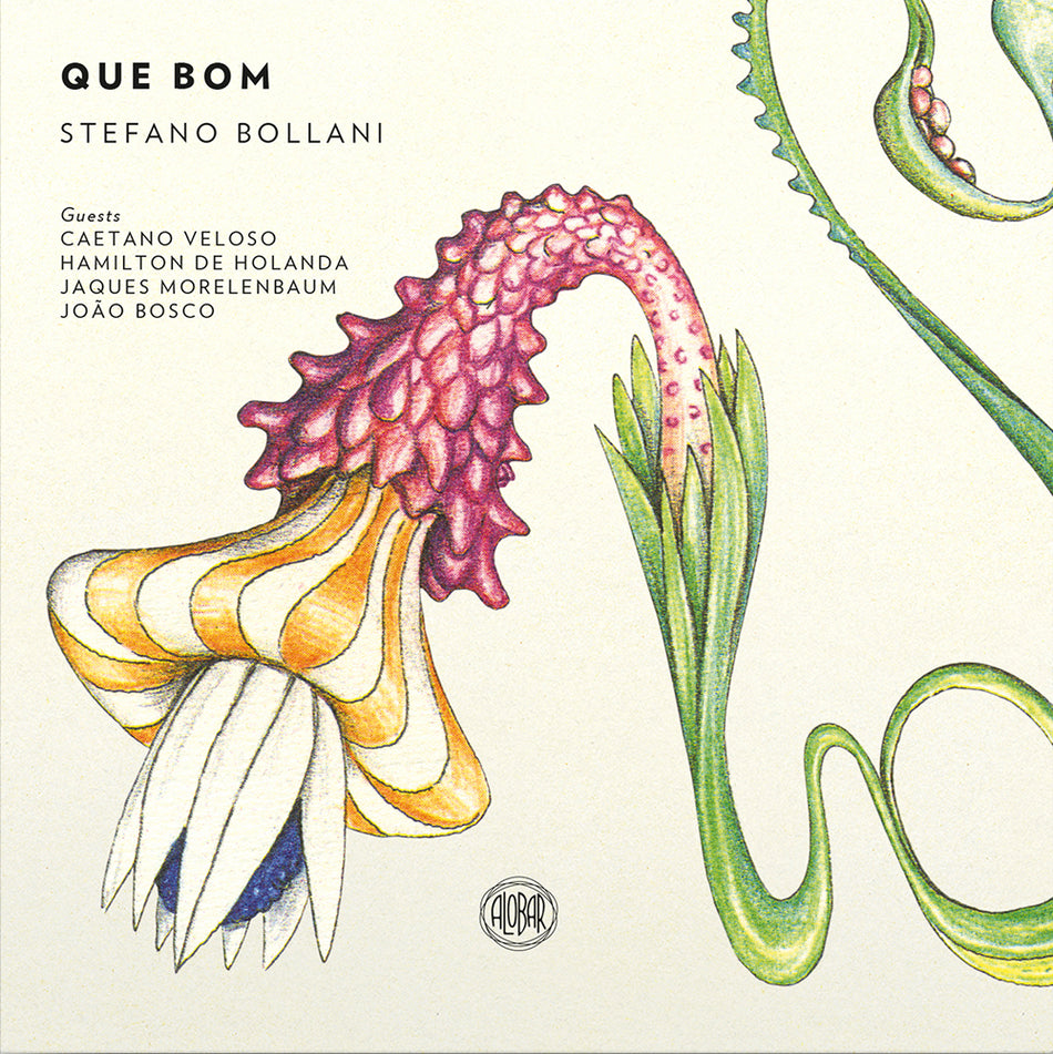 Que Bom / Stefano Bollani (Vinyle LP - Gatefold) - Front Cover