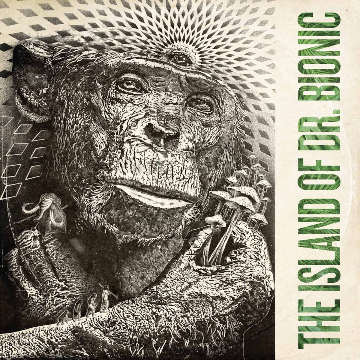 The Island Of Doctor Bionic - Front Cover