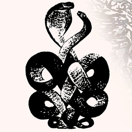 Volume 4 & 5/Gatefold - Front Cover