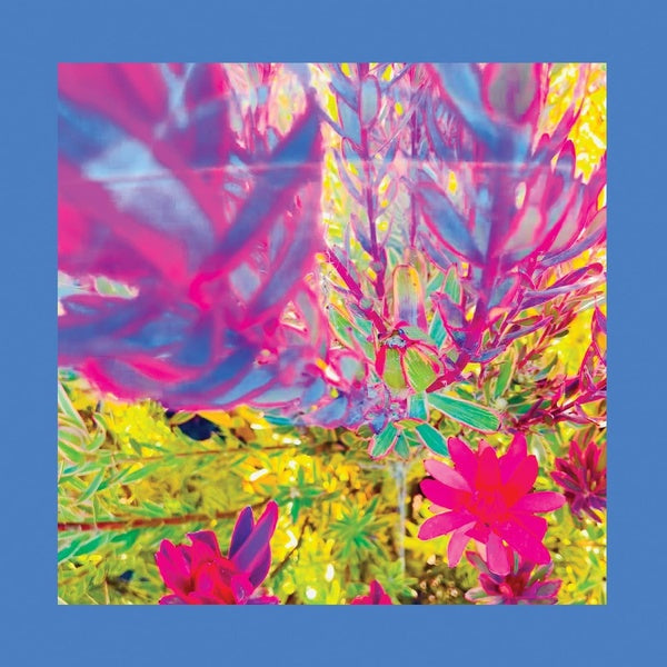 The Past Is A Garden I Never Fed - Front Cover