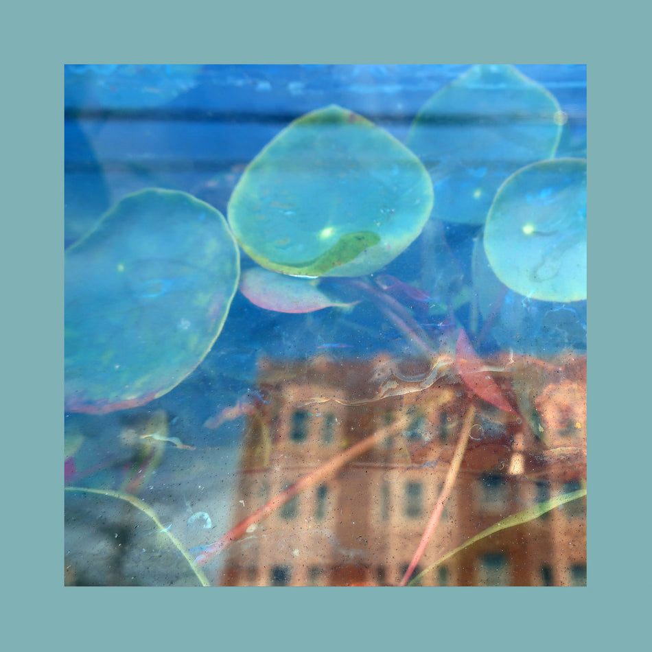Acknowledge Kindness/Subconscious Window Pane Vinyl - Front Cover