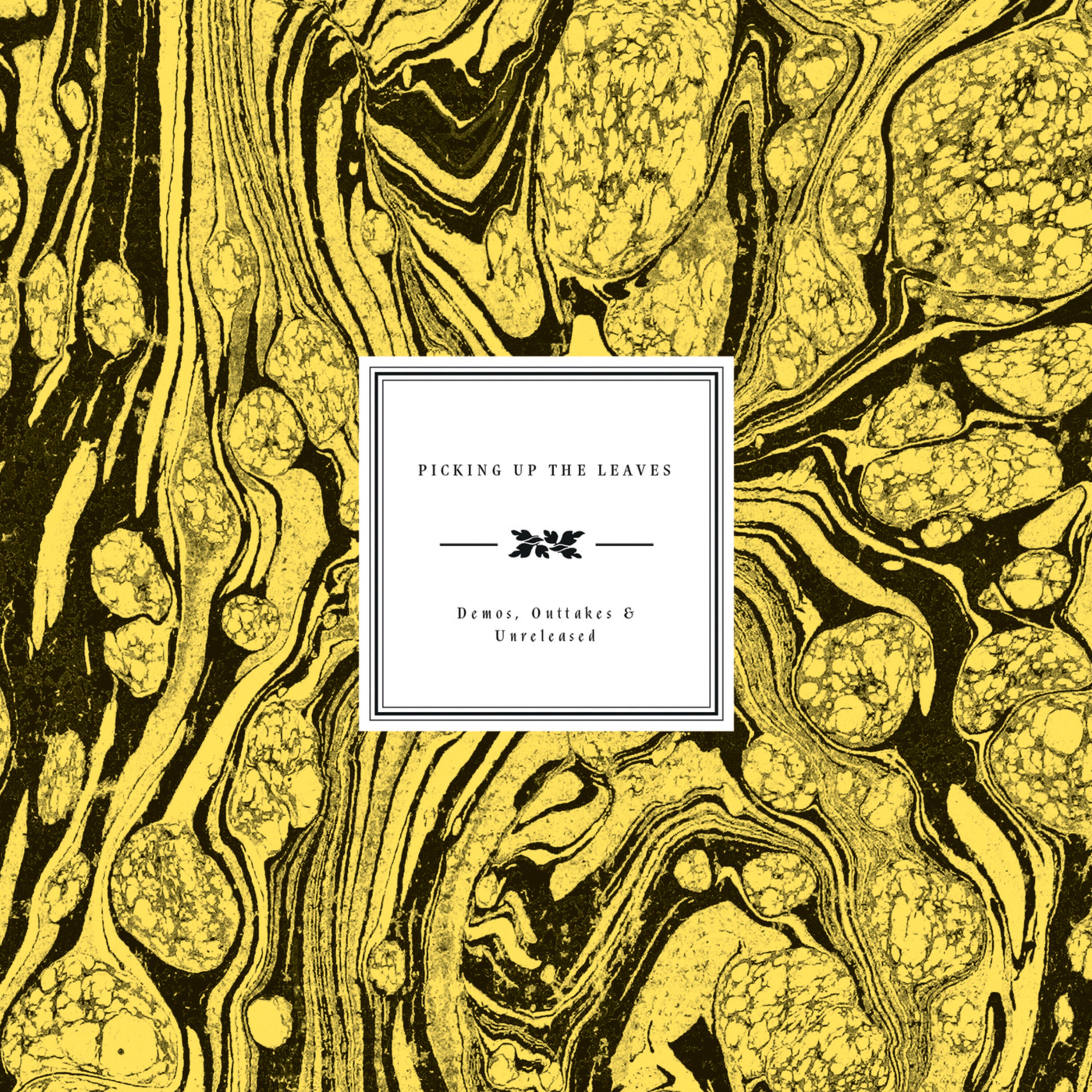 The Ornament Tree/Limited Edition - Front Cover