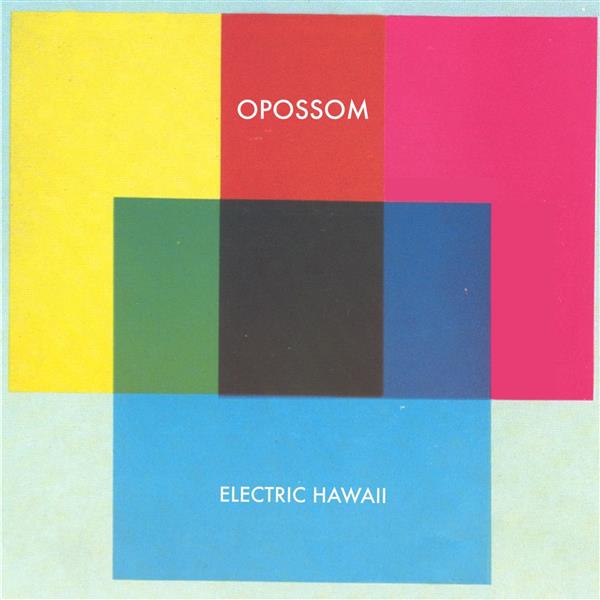 Electric Hawaii ((Edt Ltd)) - Front Cover