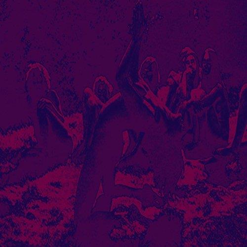 Acid guru pond - Front Cover