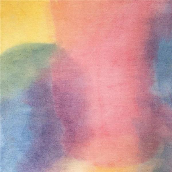 The Weight of The Sun/Coupon Mp3 Inclus - Front Cover