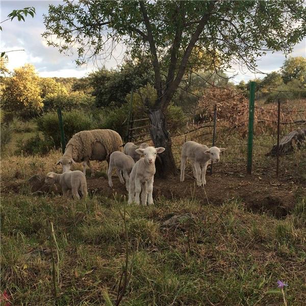 No Harm Done - Front Cover