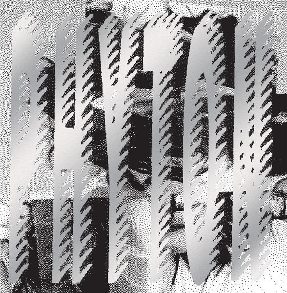 Phyton - Front Cover