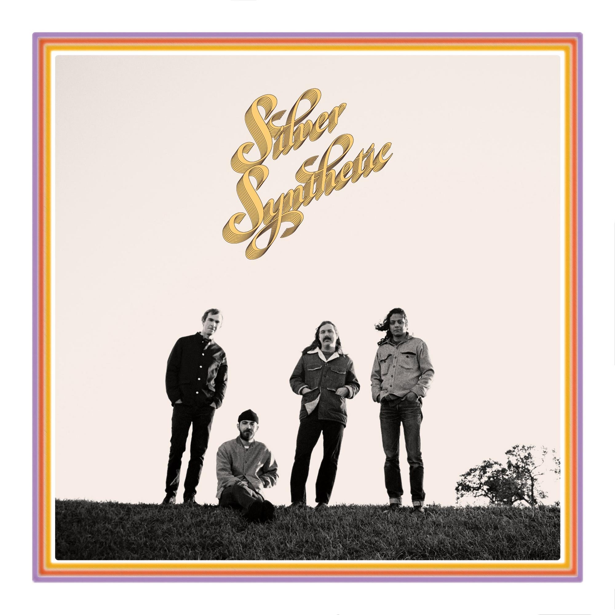 Silver Synthetic - Front Cover