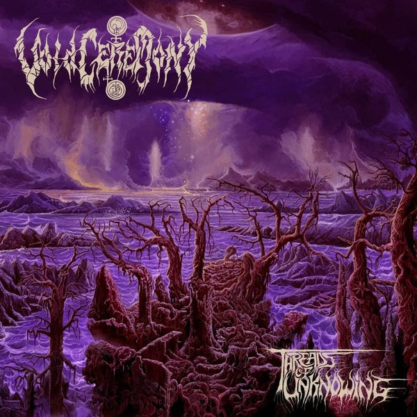 Threads Of Unknowing - Front Cover