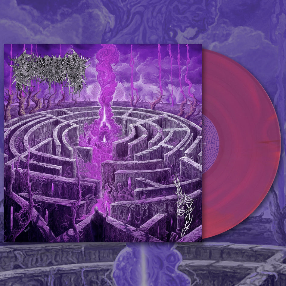 Maze Envy - Front Cover