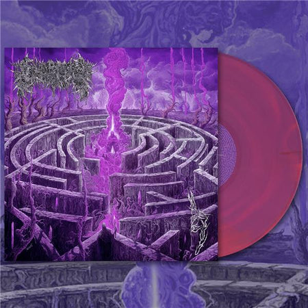 Maze Envy - Front Cover