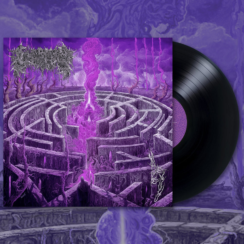 Maze Envy - Front Cover