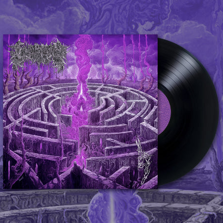 Maze Envy - Front Cover