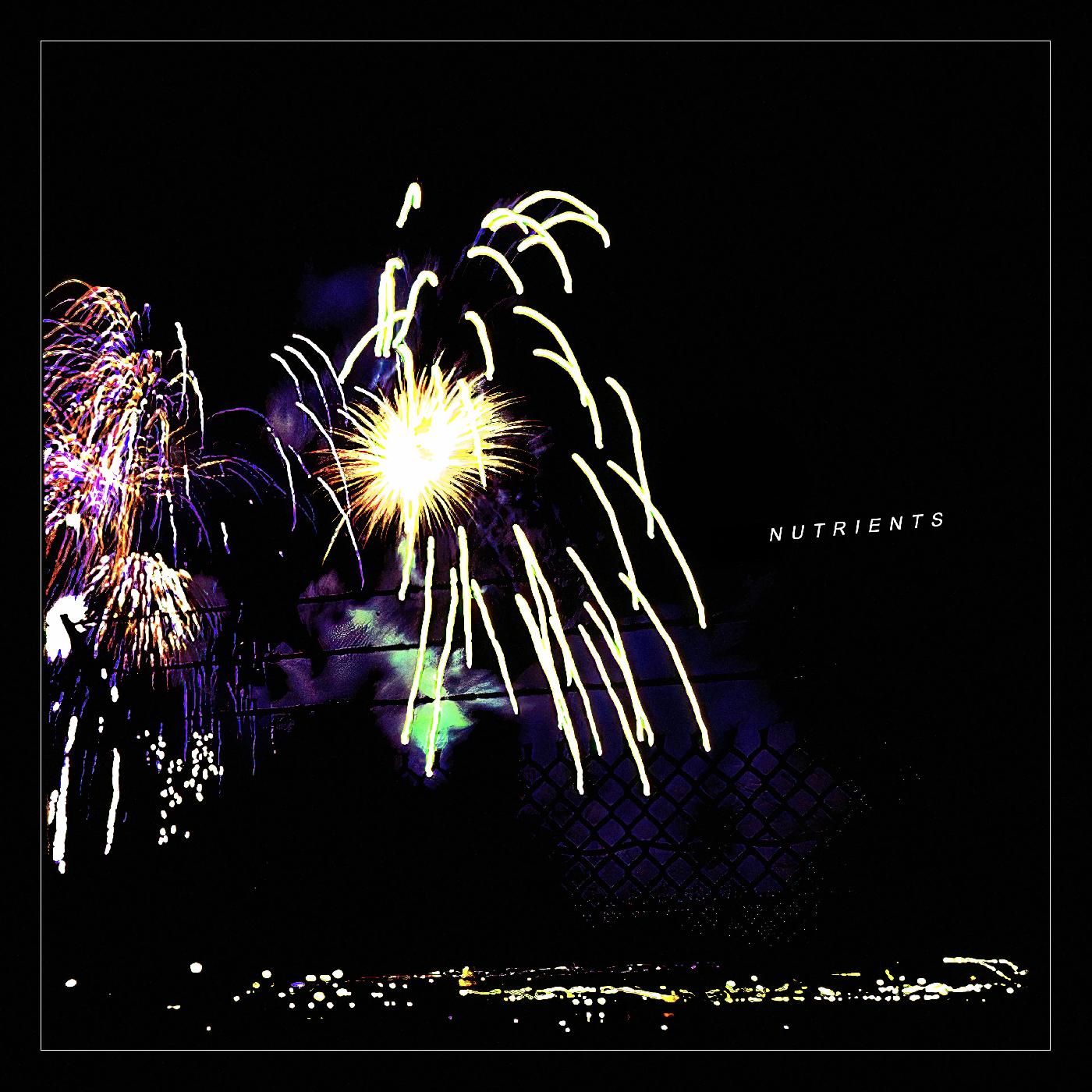 DIFFERENT BRIDGE/INCLUS INSERT AVEC PAROLES - Front Cover