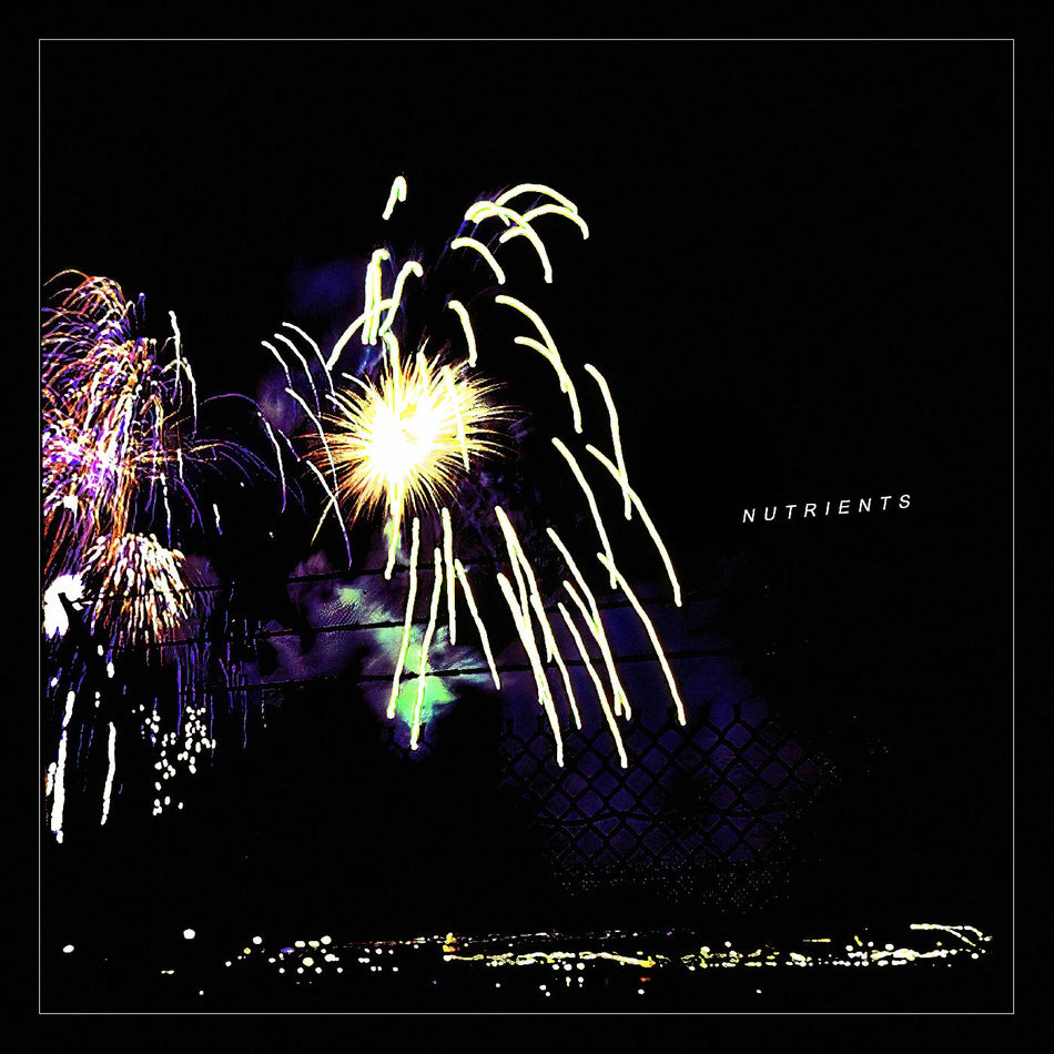 DIFFERENT BRIDGE/INCLUS INSERT AVEC PAROLES - Front Cover