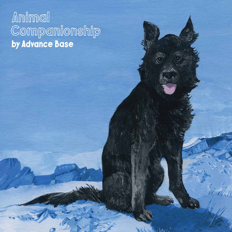 Animal Companionship - Vinyle Transparent - Front Cover
