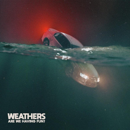 Are We Having Fun? - Front Cover