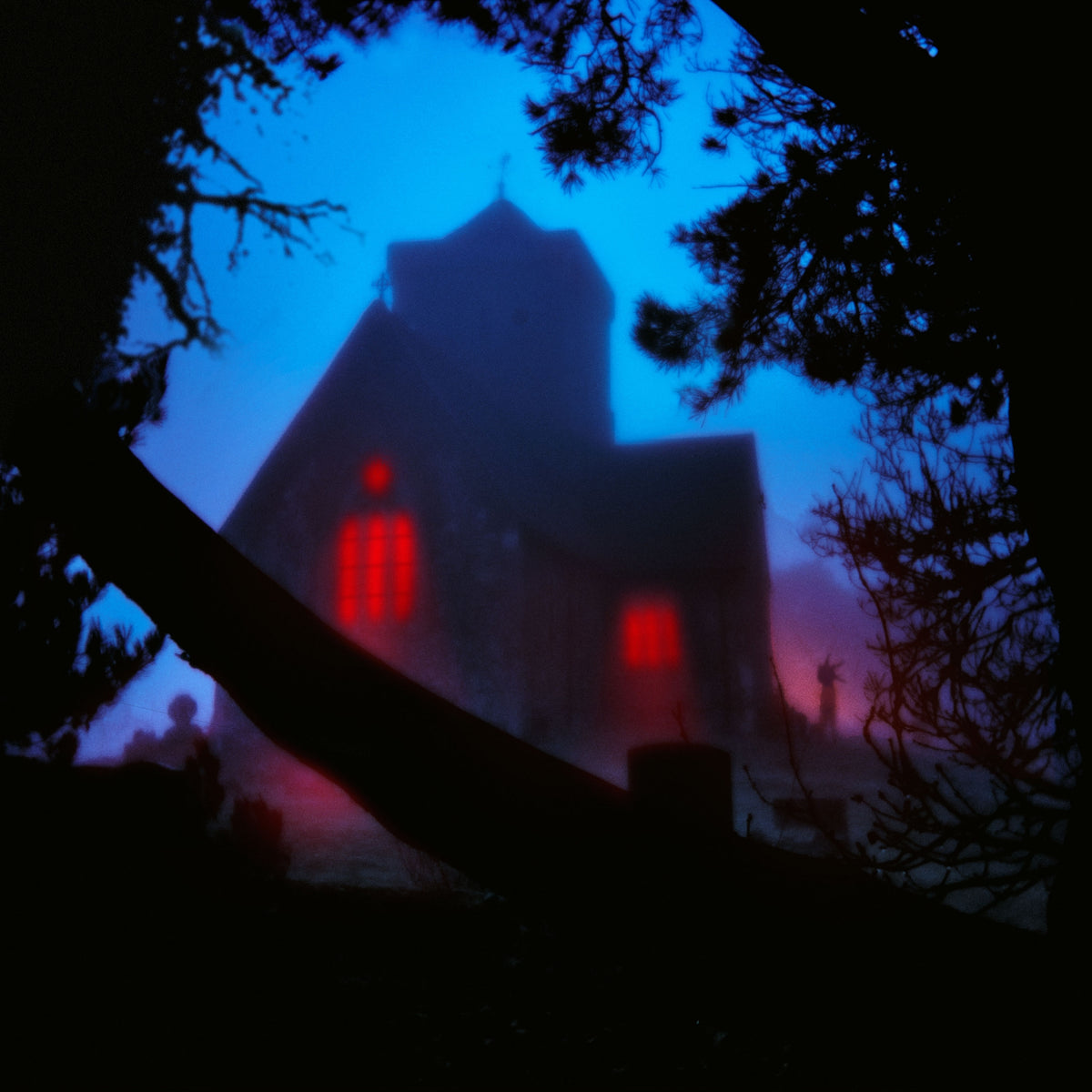 The Host - Front Cover