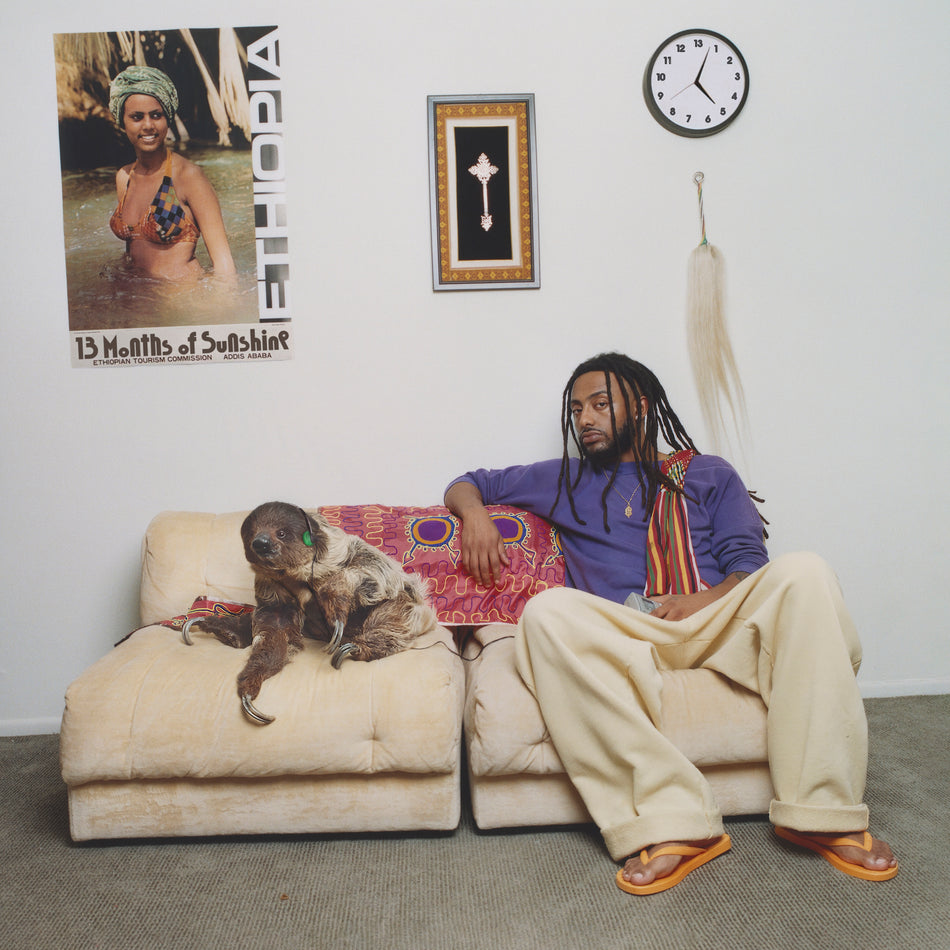 13 Months of Sunshine/Purple Vinyl/Gatefold - Front Cover