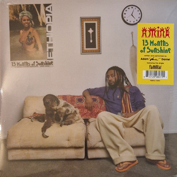 Amine - 13 Months of Sunshine/Purple Vinyl/Gatefold