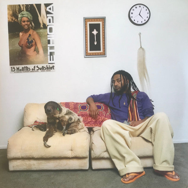 Amine - 13 Months of Sunshine/Black Vinyl/Gatefold