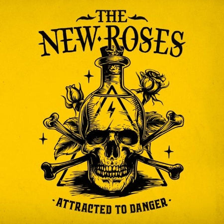 Attracted To Danger - Front Cover