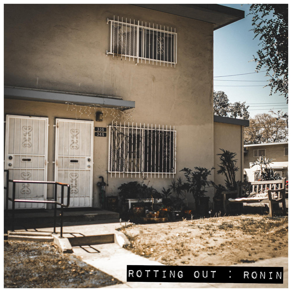 Ronin - Front Cover