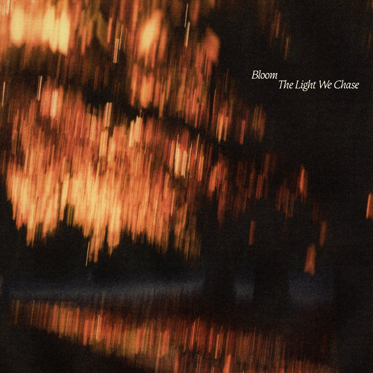 The Light We Chase - Front Cover