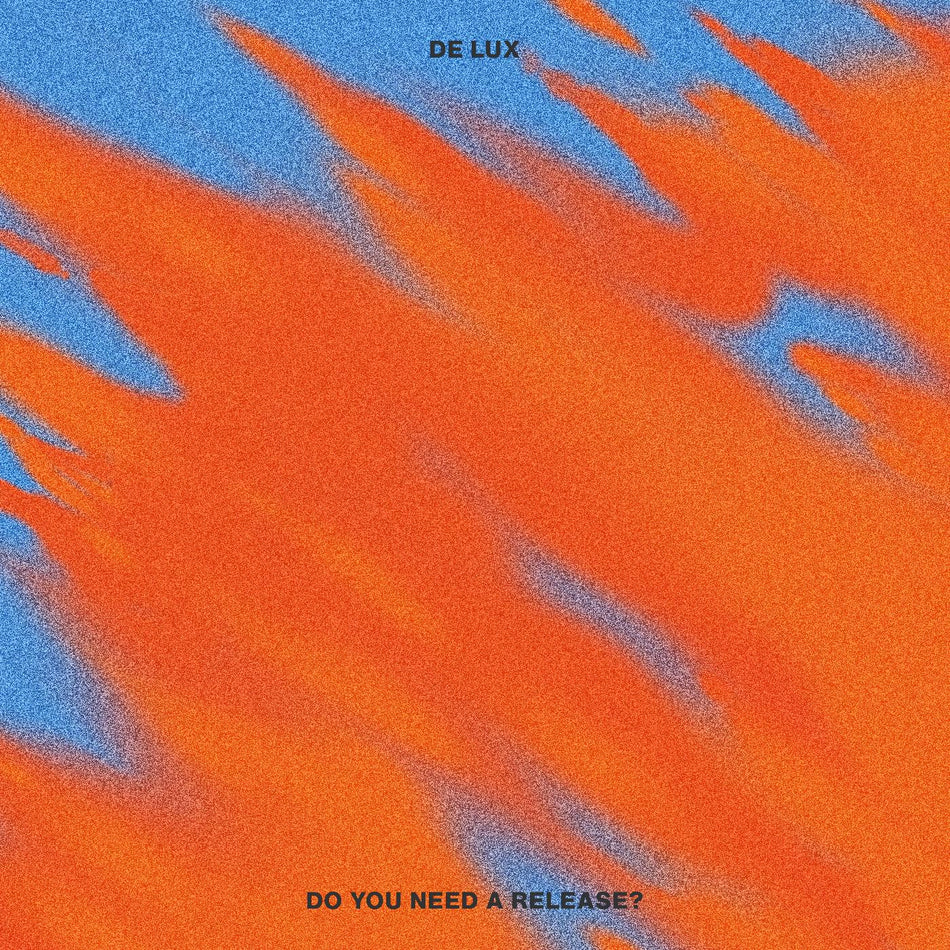 DO YOU NEED A RELEASE - Front Cover