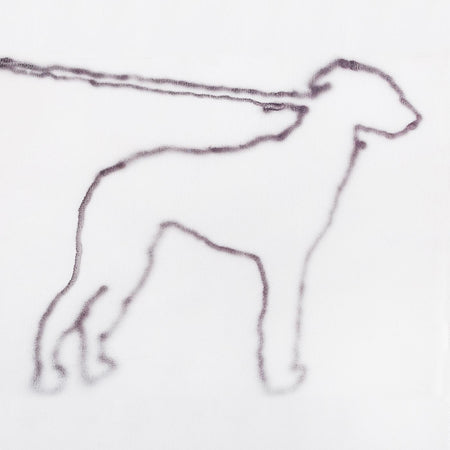 PORTRAIT OF A DOG/VINYLE POCHETTE GATEFOLD - Front Cover