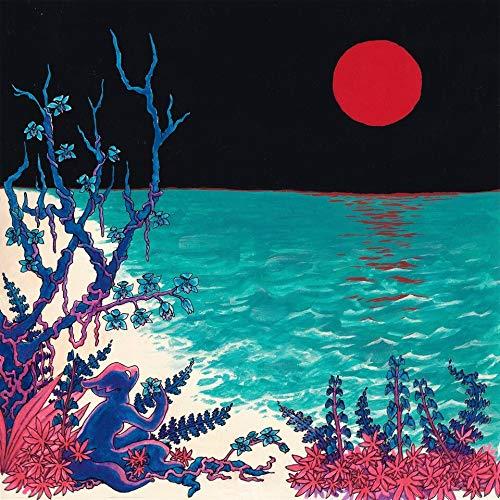 The First Glass Beach Album - Front Cover