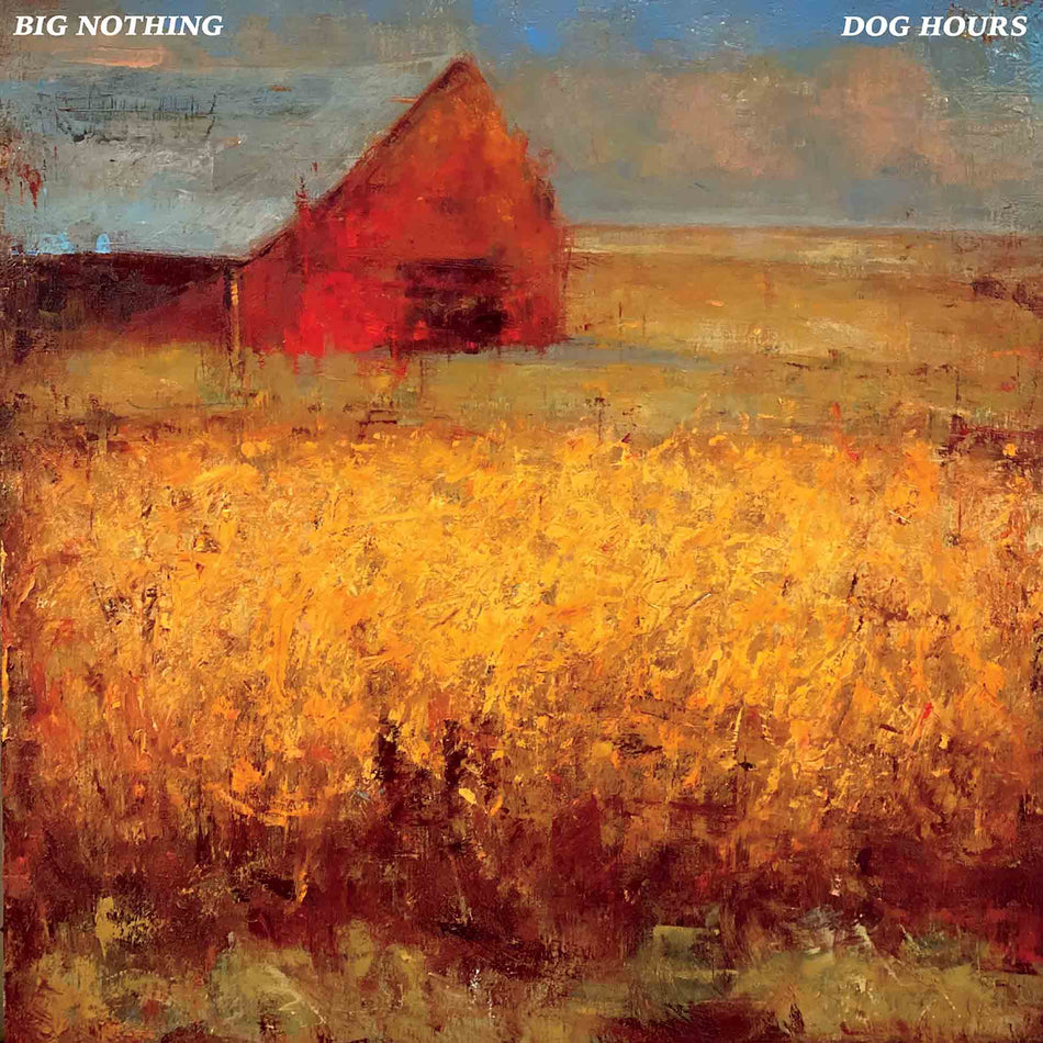 Dog Hours - Vinyle Bleu Translucide - Front Cover