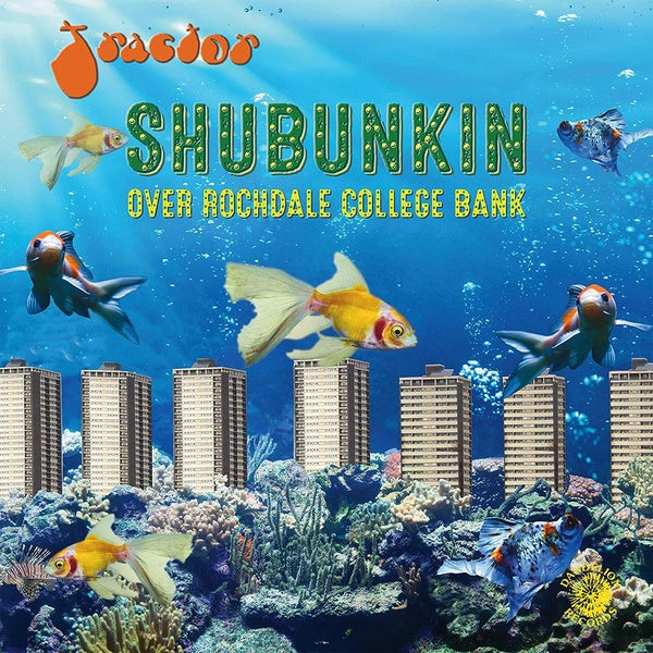 Shubunkin Over Rochdale College Bank - Front Cover