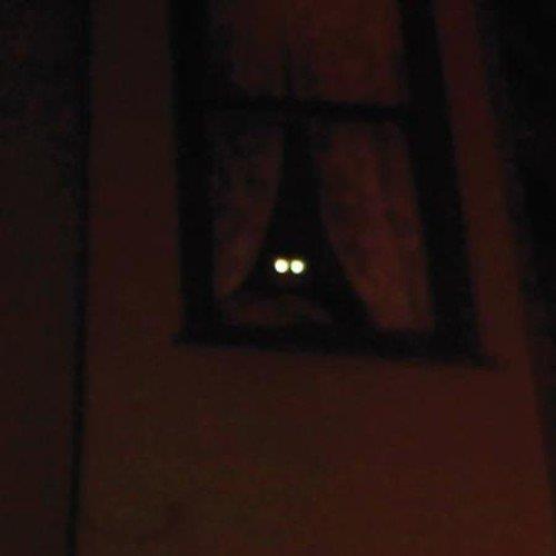 Fortress - Front Cover