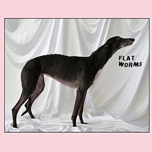 Flat Worms - Front Cover