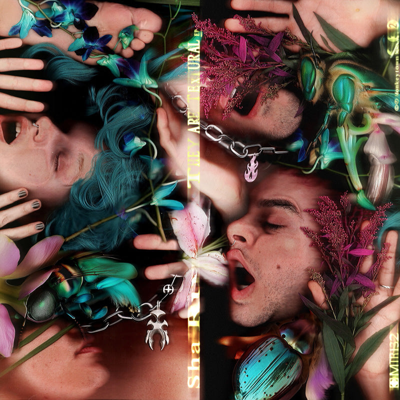 They Are Textural - Front Cover