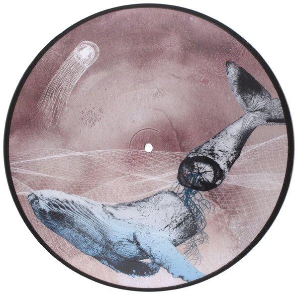 Basal Ganglia - Front Cover
