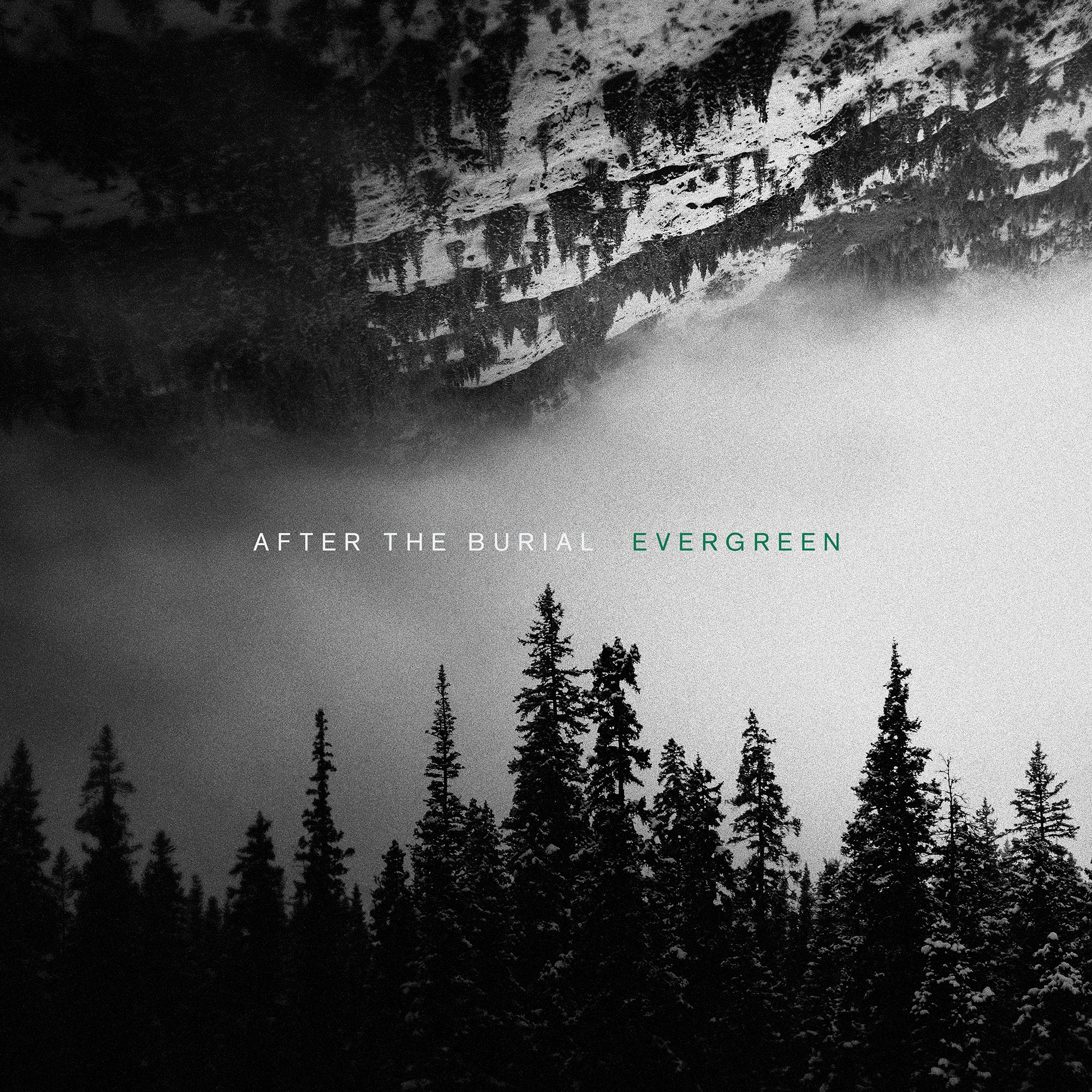 EVERGREEN - Front Cover