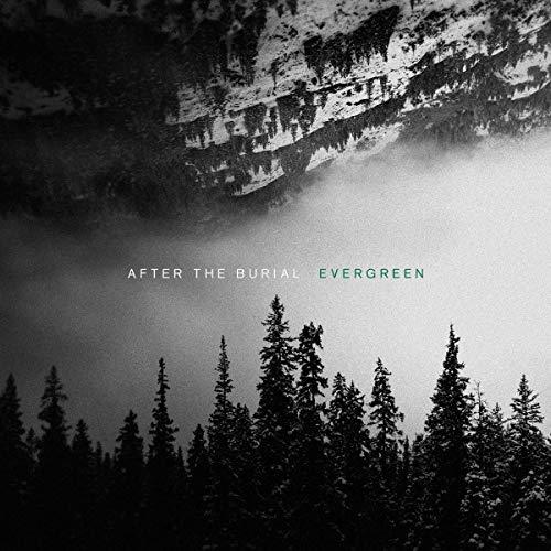 EVERGREEN - Front Cover