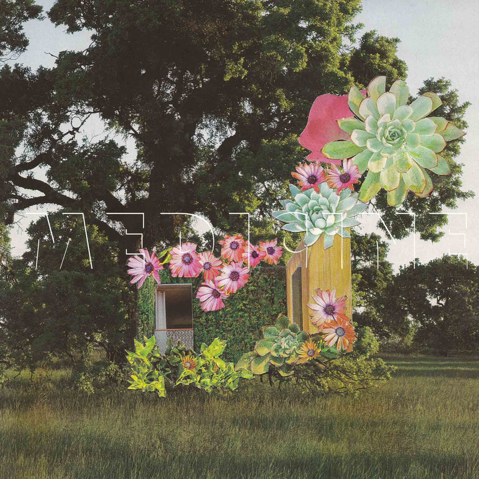 Home Everywhere - Front Cover
