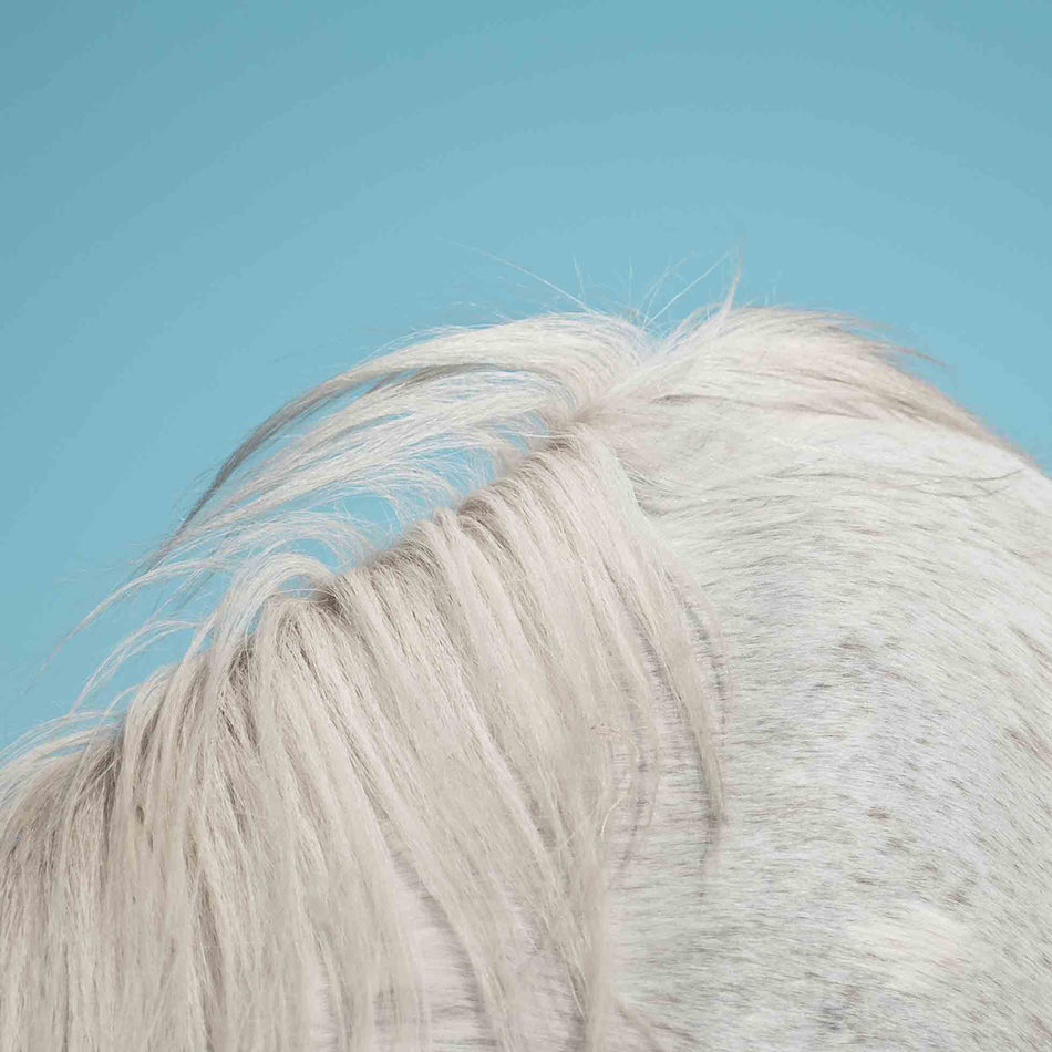 All Yours - Front Cover