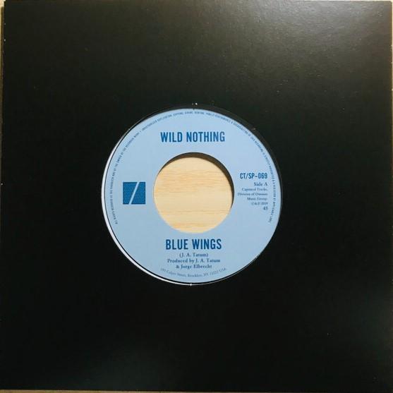 Blue Wings - Front Cover