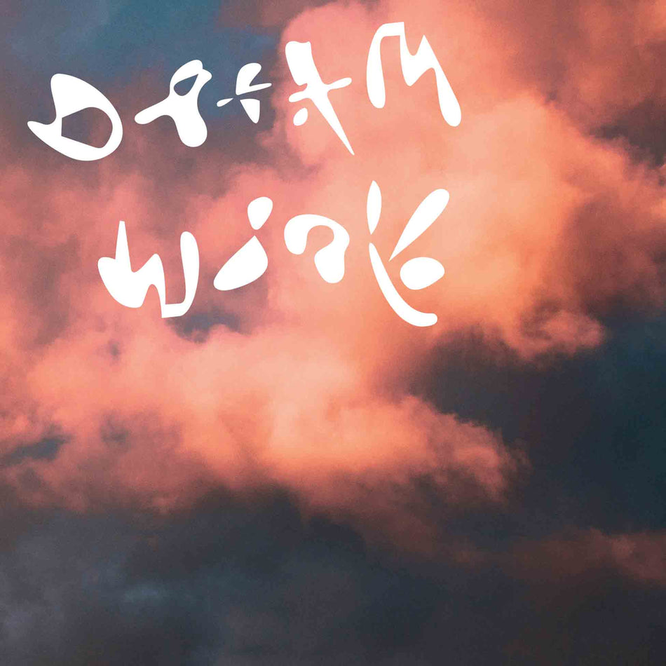 Dream Work - Vinyle Blanc - Front Cover