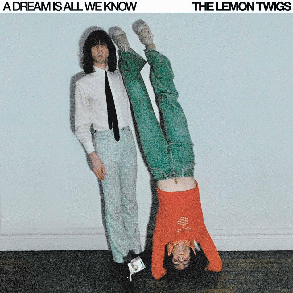 A Dream Is All We Know - Front Cover