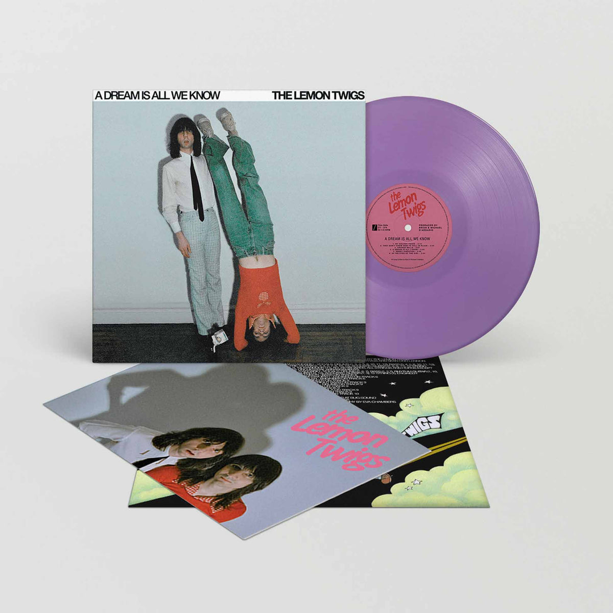 A Dream Is All We Know - Vinyle Mauve - Front Cover