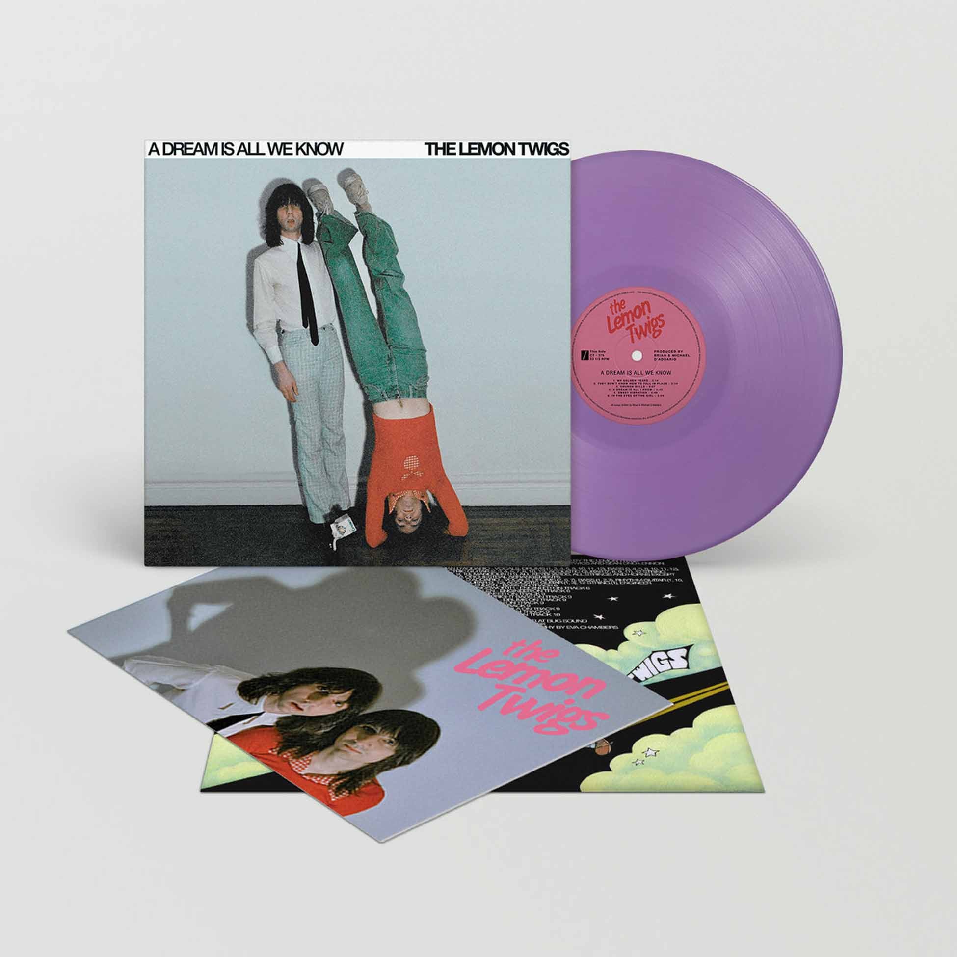 A Dream Is All We Know - Vinyle Mauve - Front Cover