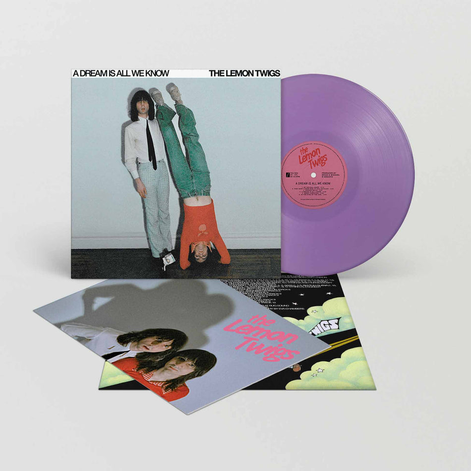 A Dream Is All We Know - Vinyle Mauve - Front Cover