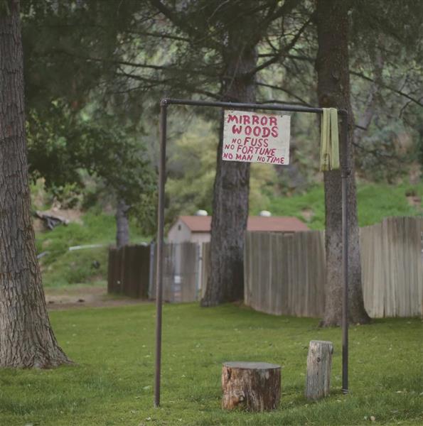 Mirror Woods - Front Cover