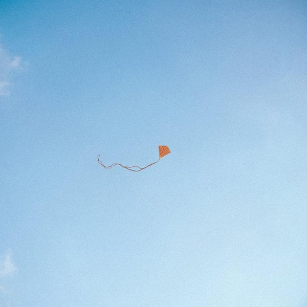 Lost Found And Forgotten - Front Cover