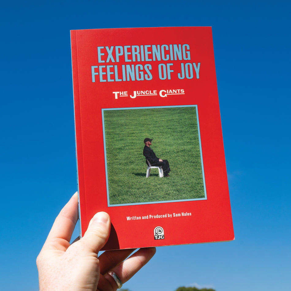 Experiencing Feelings of Joy - Front Cover